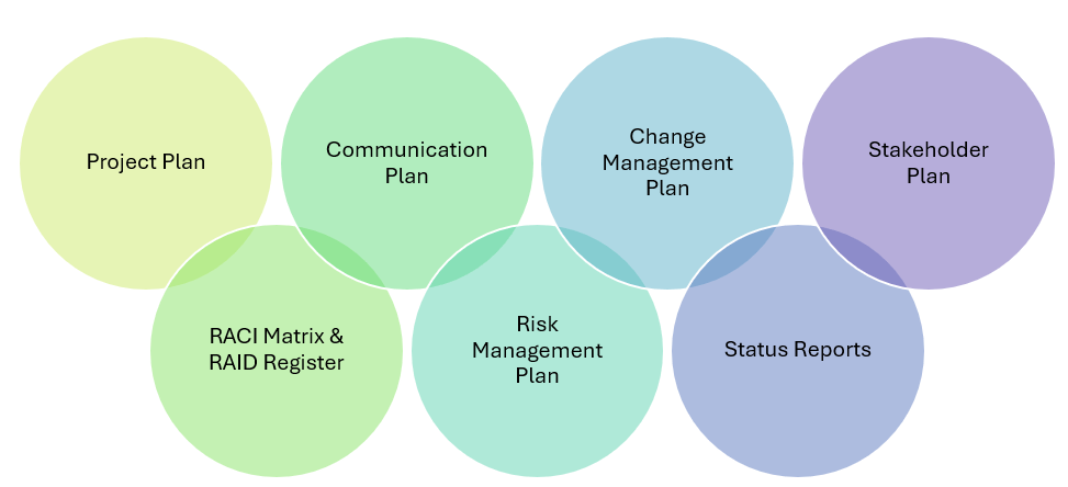 project management